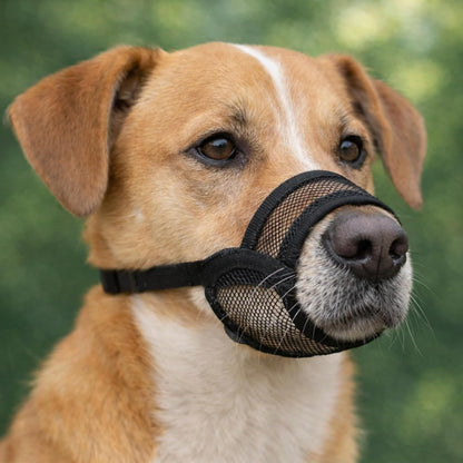 Dog Muzzle Medium Sized Dogs - Soft Muzzle for Medium Sized Dog with Air Mesh | Mussle to Stop Biting Barking and Chewing | Allows Panting and Drinking8