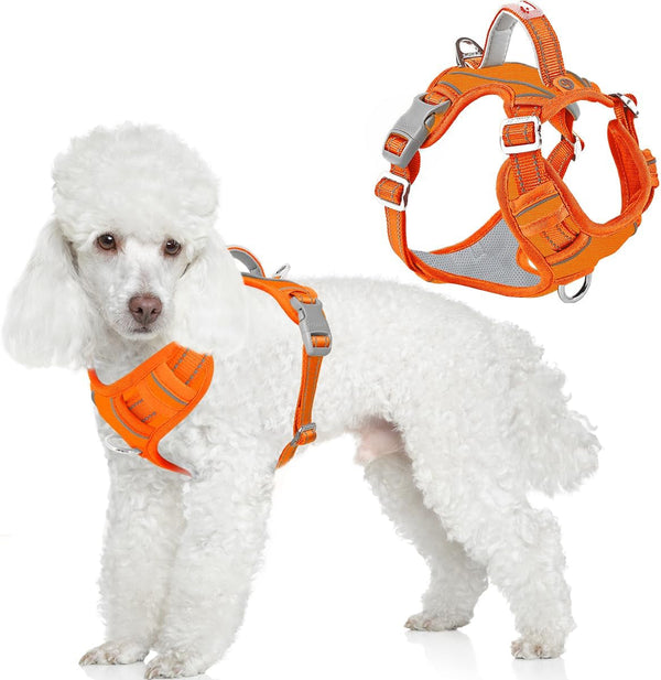 BARKBAY Dog Harness No Pull with ID Tag Pocket - Heavy Duty, Reflective, Easy Control for Large Dogs(Blue,L)15