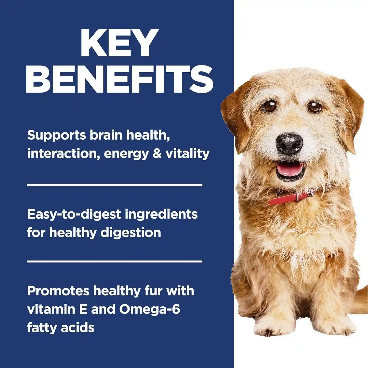 hills-science-diet-adult-7-senior-vitality-small-mini-dry-dog-food-1-veterinarian-recommended-chicken-rice-3-5-lb-bag