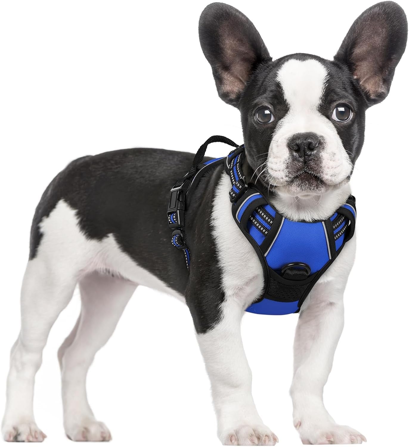 rabbitgoo-dog-harness-no-pull-for-large-dogs-with-2-leash-clips-pet-vest-no-choke-with-handle-adjustable-soft-padded-reflective-easy-control-for-walking-black-large