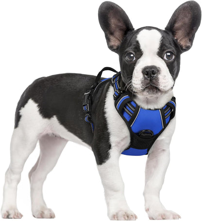 Rabbitgoo Dog Harness, No Pull for Large Dogs with 2 Leash Clips, Pet Vest | No Choke with Handle, Adjustable Soft Padded, Reflective, Easy Control for Walking, Black, Large89