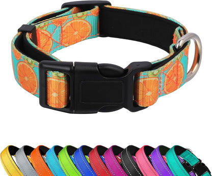 Reflective Dog Collar, Adjustable Soft Neoprene Padded,Teal,M | Breathable Nylon for Medium Dogs,Tear-Resistant Webbing,Chafe‑Free on Walks and Hikes,Metal D-Ring,Night Safety25