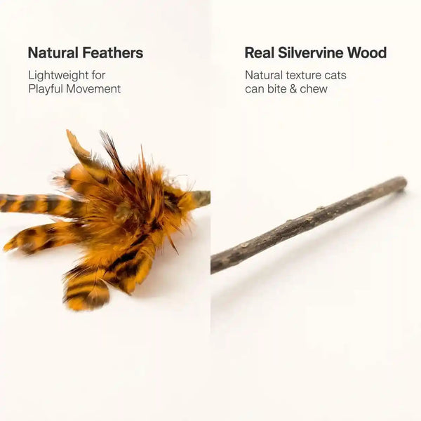 Silvervine Feather Cat Toys, 3 Pack Natural Matatabi Chew Toys for Indoor Cats, 8" Handmade Cat Toy for Chewing & Independent Play, Quiet Indoor Floor Play4