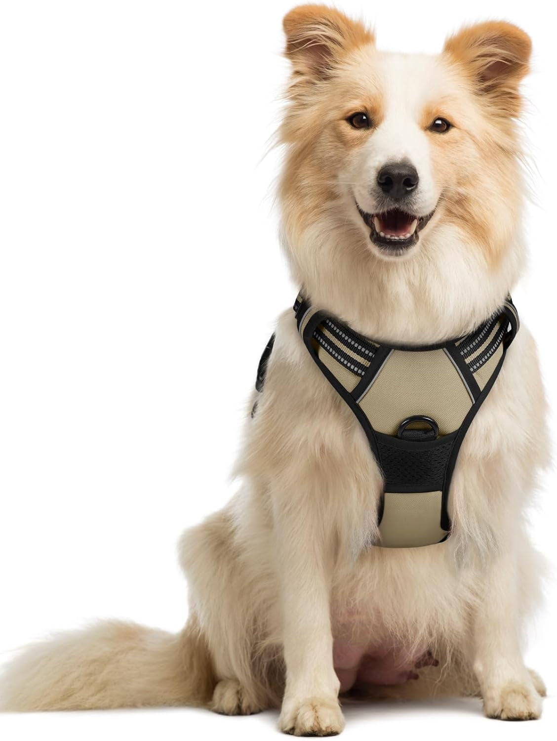 rabbitgoo-dog-harness-no-pull-for-large-dogs-with-2-leash-clips-pet-vest-no-choke-with-handle-adjustable-soft-padded-reflective-easy-control-for-walking-black-large
