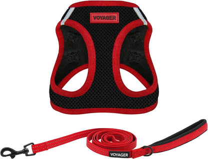 Best Pet Supplies Voyager Step-In Air All Weather Mesh Harness and Reflective Dog 5Ft Leash Combo with Neoprene Handle, for Small, Medium and Large Breed Puppies - Baby Blue, Small31