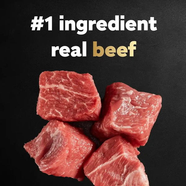 Cesar Small Breed Dry Dog Food, Filet Mignon & Spring Vegetables, 12 Lb | Made in USA, Real Beef #1 Ingredient, 26 Essential Nutrients, Supports Small Breed Health, No Artificial Flavors3