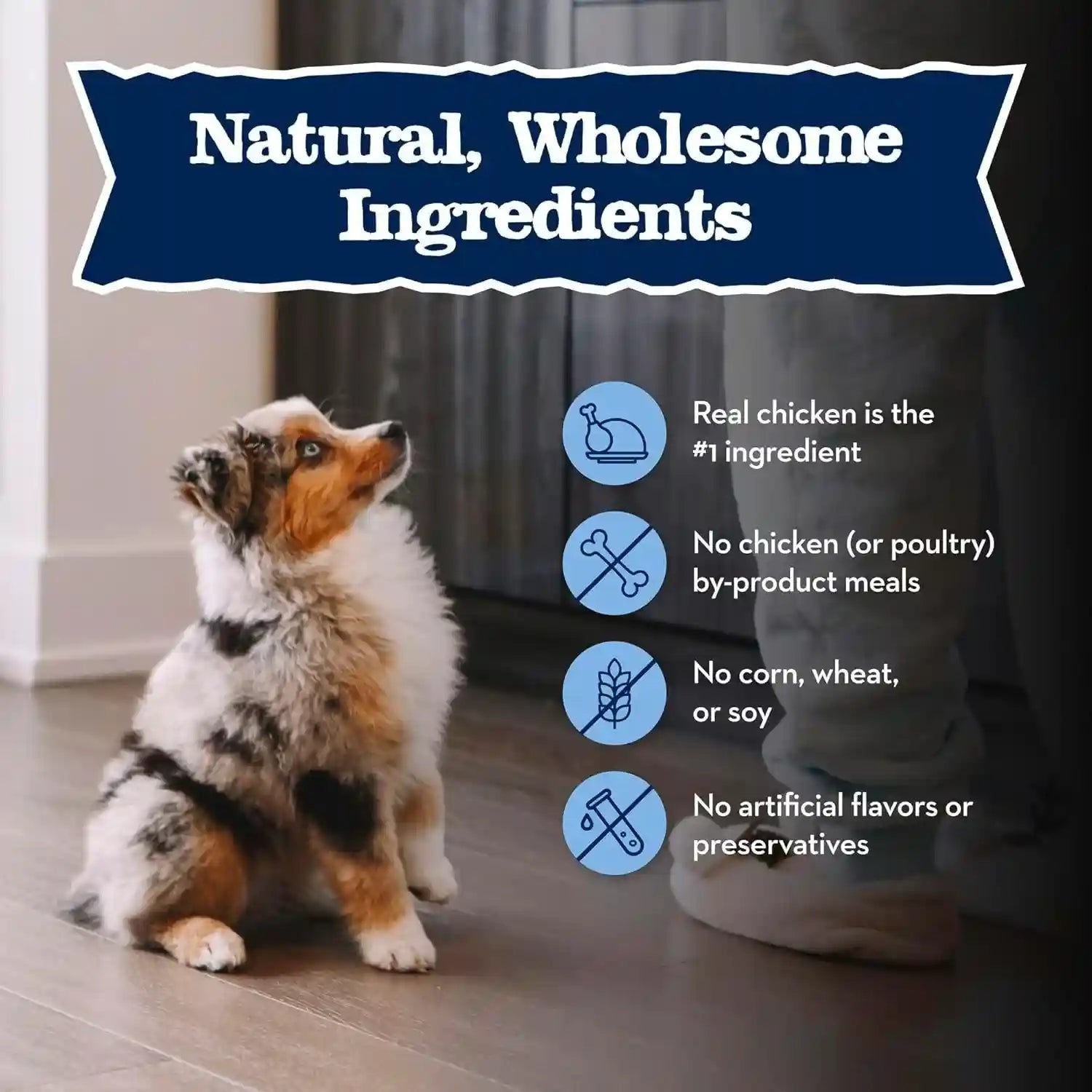 blue-buffalo-baby-blue-natural-dry-food-for-puppies-healthy-growth-formula-with-dha-savory-chicken-recipe-4-lb-bag