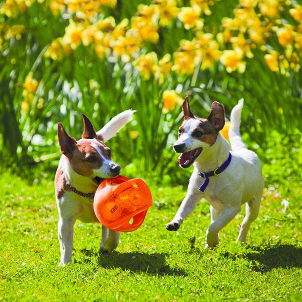 KONG Jumbler Ball - Interactive Toy for Dog & Puppy Playtime - Fetch Toy with Tennis Ball - Dog Supplies for Engaging Play - for Medium/Large Dogs - Assorted Colors2