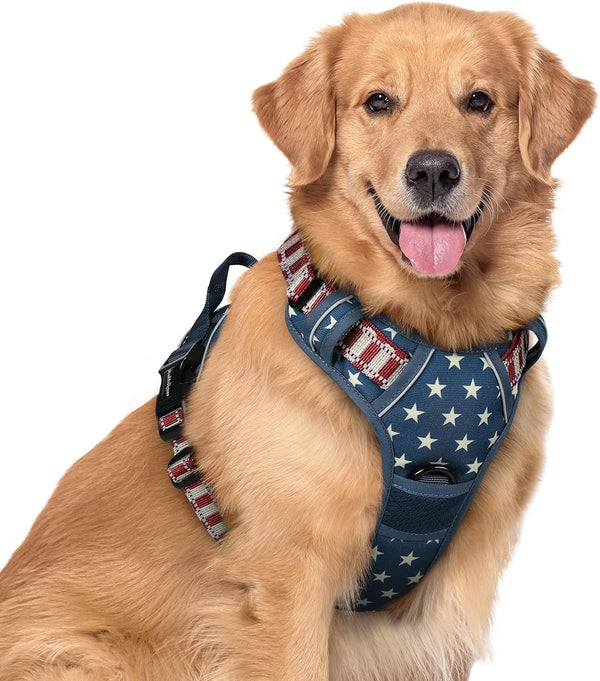Rabbitgoo Dog Harness, No Pull for Large Dogs with 2 Leash Clips, Pet Vest | No Choke with Handle, Adjustable Soft Padded, Reflective, Easy Control for Walking, Black, Large145
