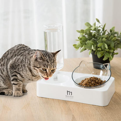 Marchul Double Elevated Dog Cat Bowl, Pets Water and Food Bowl Set, 15° Raised Tilted Dishes Indoor for Kitten, Puppies, Small or Medium Size Dogs Cats2