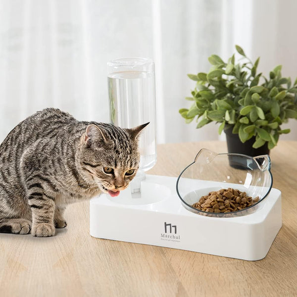 Marchul Double Elevated Dog Cat Bowl, Pets Water and Food Bowl Set, 15° Raised Tilted Dishes Indoor for Kitten, Puppies, Small or Medium Size Dogs Cats2