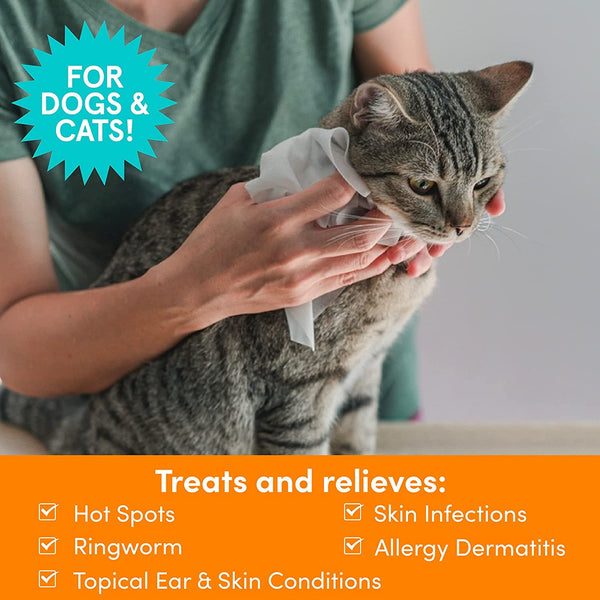 Nootie Medicated Dog Wipes, 2% Chlorhexidine and 2% Miconazole Formulated Pet Wipes for Dogs and Cats - 5"X 6" Size XL Wipes - 70 Count - Sold in over 10,000 Vet Clinics and Pet Stores Worldwide3