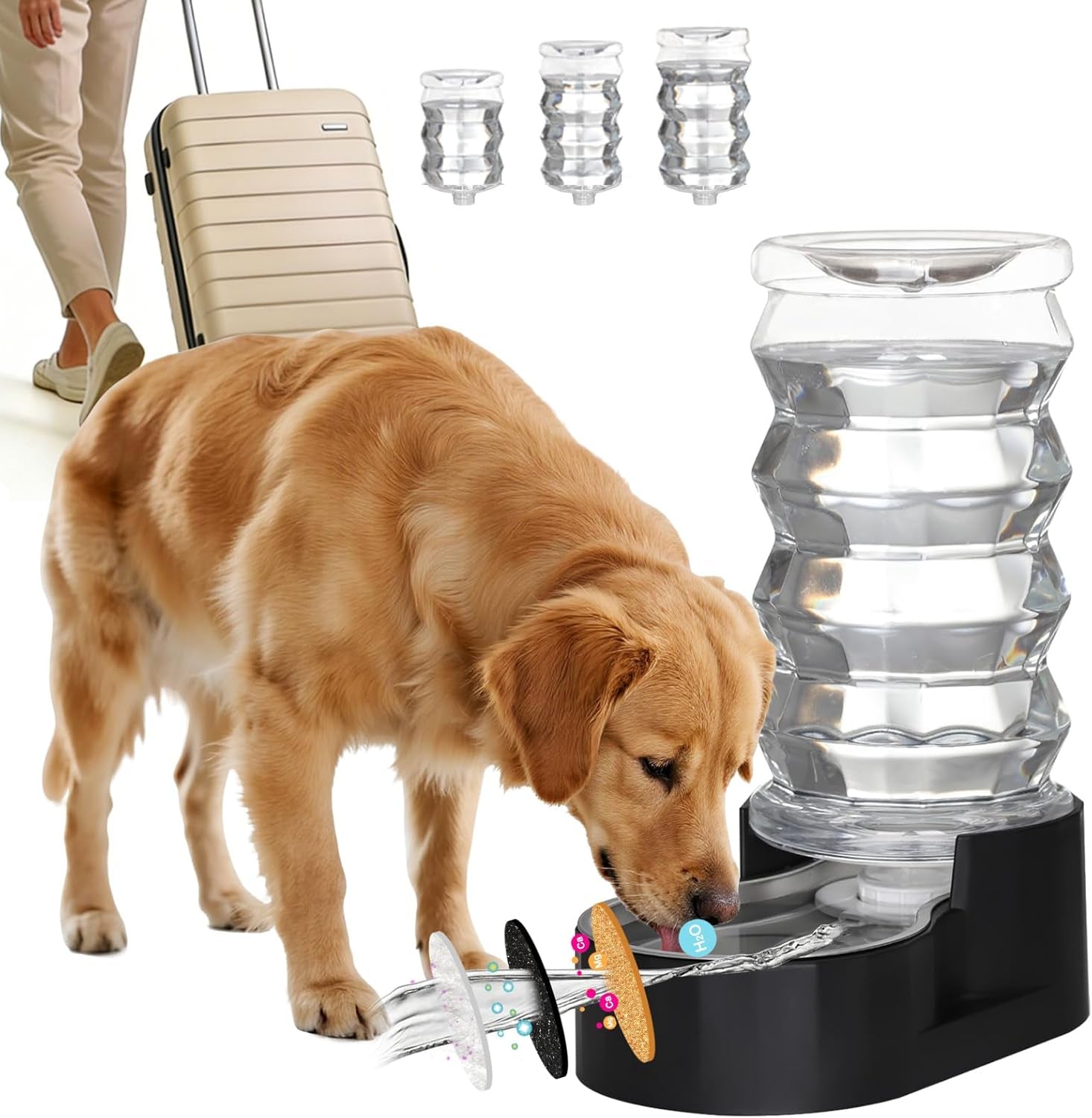 rizzari-8l-gravity-dog-water-dispenser-stainless-steel-bowl-anti-splash-wide-mouth-easy-cleaning-dishwasher-safe-no-electricity-needed-filtered-fresh-water-multi-pet-homes