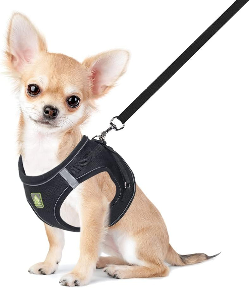feimax-dog-harness-and-leash-set-no-pull-breathable-soft-mesh-puppy-vest-harness-reflective-adjustable-pet-harnesses-for-small-medium-dogs-and-cats-outdoor-easy-control-for-walking