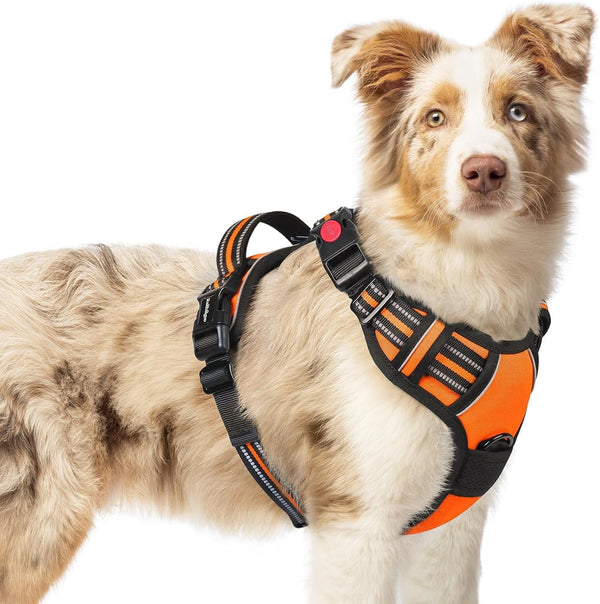Rabbitgoo Dog Harness Medium Sized, Updated Easy on & off with 3 Buckles | No Pull No Choke, Walking with 2 Clips and Handle, Adjustable Soft Reflective, Blue, Medium80