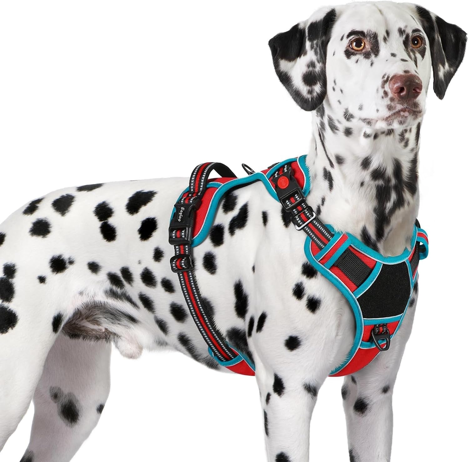 eagloo-dog-harness-no-pull-for-large-dogs-easy-on-off-with-3-buckles-no-choke-with-front-clip-adjustable-fit-molle-system-reflective-vest-easy-control-for-walking-black-large