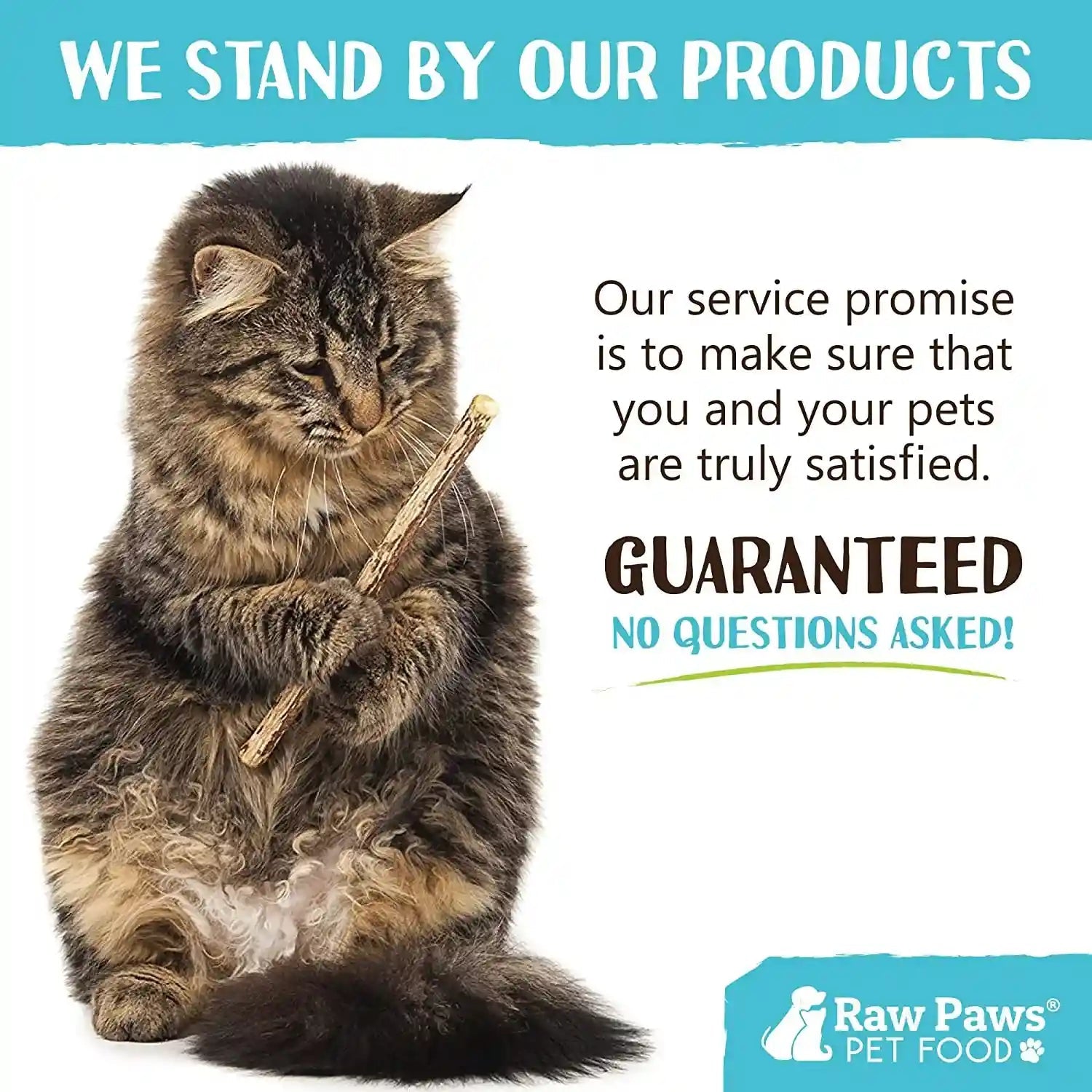 raw-paws-silvervine-sticks-for-cats-30-count-dental-cat-chew-stick-catnip-alternative-matatabi-cat-toy-silver-vine-sticks-indoor-cat-enrichment-chewing