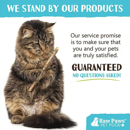 Raw Paws Silvervine Sticks for Cats (30-Count) - Dental Cat Chew Stick | Catnip Alternative - Matatabi Cat Toy - Silver Vine Sticks - Indoor Cat Enrichment & Chewing7