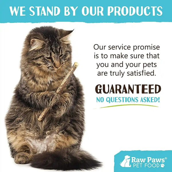 Raw Paws Silvervine Sticks for Cats (30-Count) - Dental Cat Chew Stick | Catnip Alternative - Matatabi Cat Toy - Silver Vine Sticks - Indoor Cat Enrichment & Chewing7