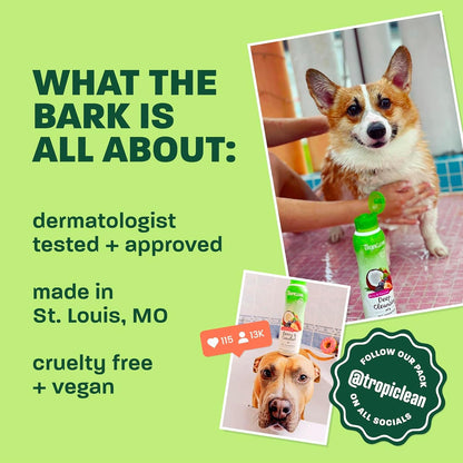 Tropiclean 2-In-1 Dog Shampoo and Conditioner, Moisturizing Dog Detangler, Puppy Safe, Made in the USA, Papaya Scent, Cat & Kitten Safe, 20Oz. | Moisturizing Detangler | Papaya Scent | Puppy, Cat & Kitten Safe | Made in USA5