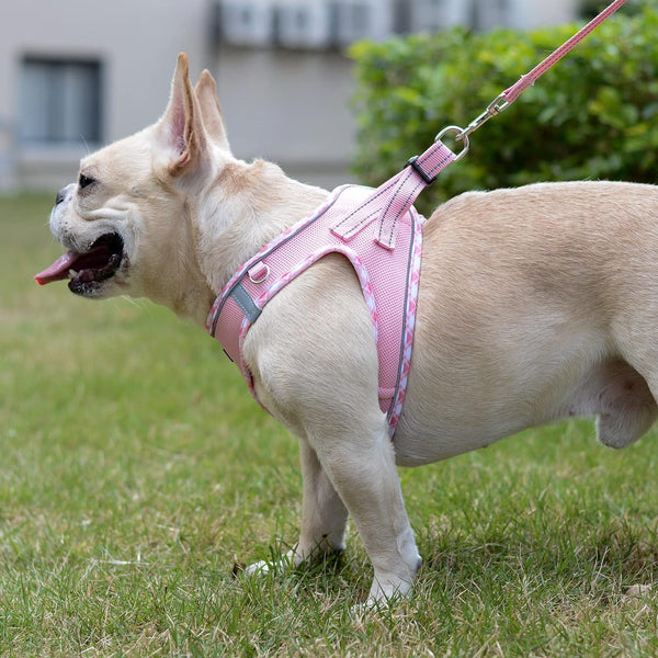Mercano Soft Mesh Dog Harness and Leash Set, Step-In Reflective Breathable Lightweight Vest Harnesses with Safety Buckle for Small Dogs, Cats (Pink, S)5