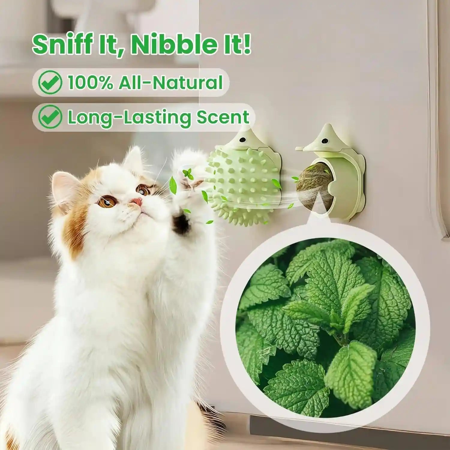 6-pcs-catnip-ball-toys-with-rubbing-shell-lickable-roller-catnip-toys-for-cats-chew-edible-and-refillable-kitten-toys-teeth-cleaning-dental-indoor-cat-treats-toys-3-shells-6-balls