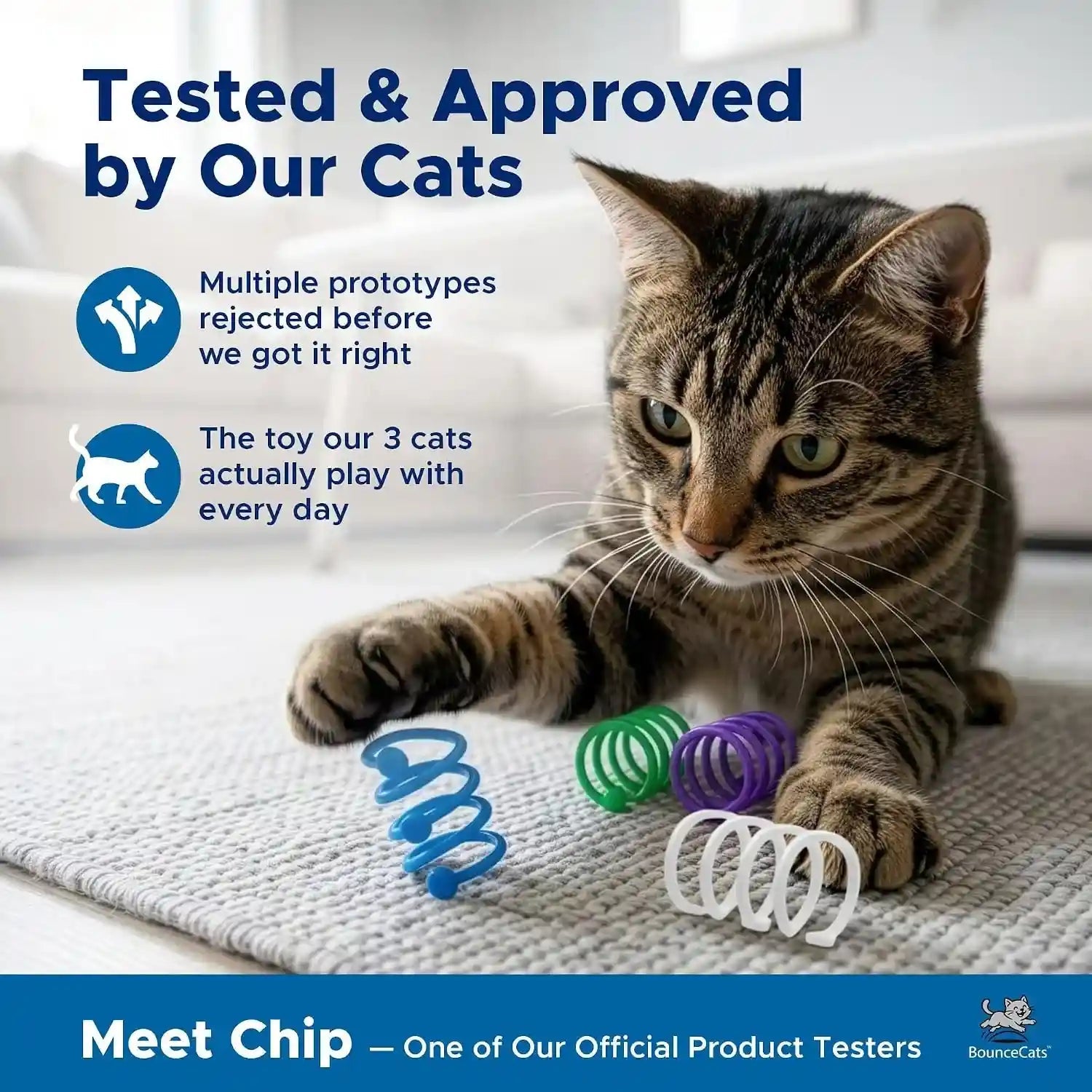 cat-spring-toys-cats-cant-resist-family-made-in-the-usa-set-of-4
