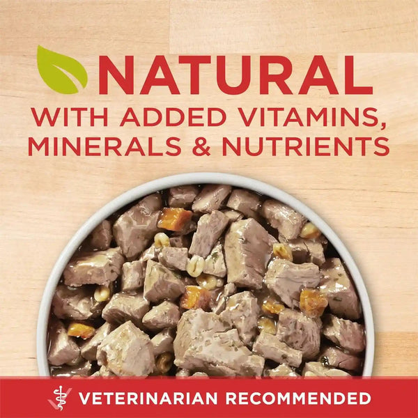 Purina ONE Natural Wet Dog Food Gravy, Tender Cuts in Gravy Beef and Barley Entrée - 13 Ounce (Pack of 12)4