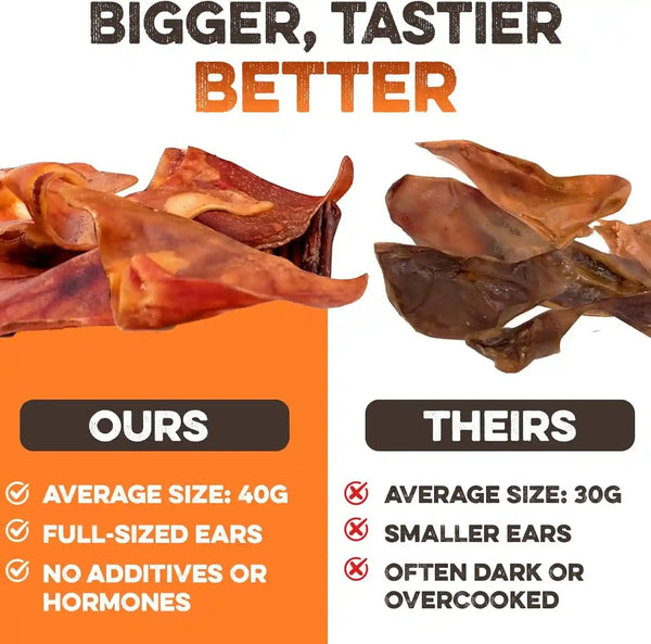 BRUTUS & BARNABY Whole Pig Ears for Dogs, 12 Ct. – All-Natural Single Ingredient Dog Chews, Slow Cooked & Fully Digestible Rawhide Alternative3