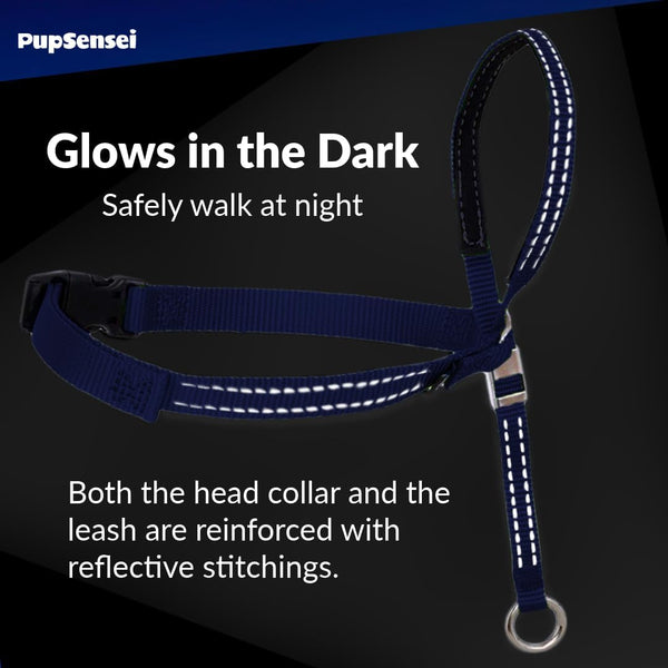 Headcollar for Dogs, Extra Soft Padded, Reflective, No Pull Dog Collar, Gentle Leader for Dogs with Durable Nylon Leash, Padded Handle - Navy Blue (Large)6