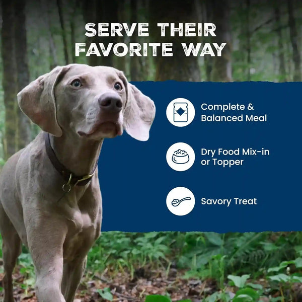 Blue Buffalo Wilderness Adult Wet Dog Food Variety Pack, Beef & Chicken Grill, 32G Protein, and Chicken & Salmon Grill, 35G Protein, Grain-Free & High-Protein, Natural, 12.5-Oz. Each (6 Cans)8