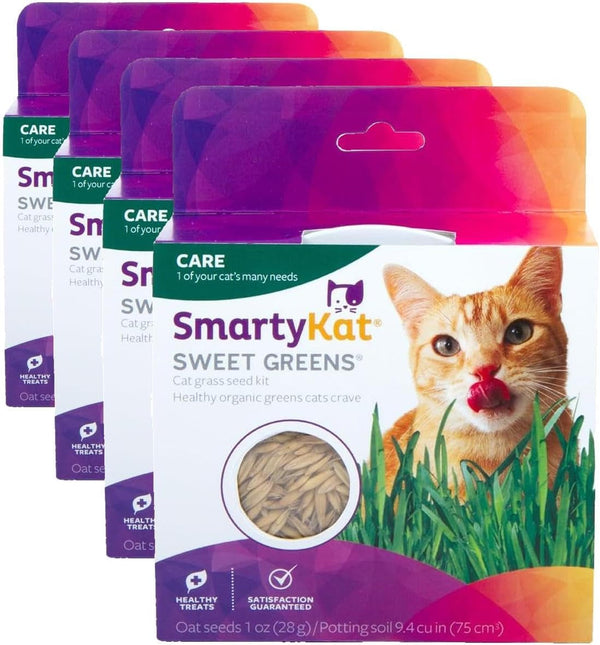 Smartykat Sweet Greens Organic Oat Grass All-In-One Cat Grass Grow Kit, Easy-To-Grow to Support Digestion & Hairball Reduction8