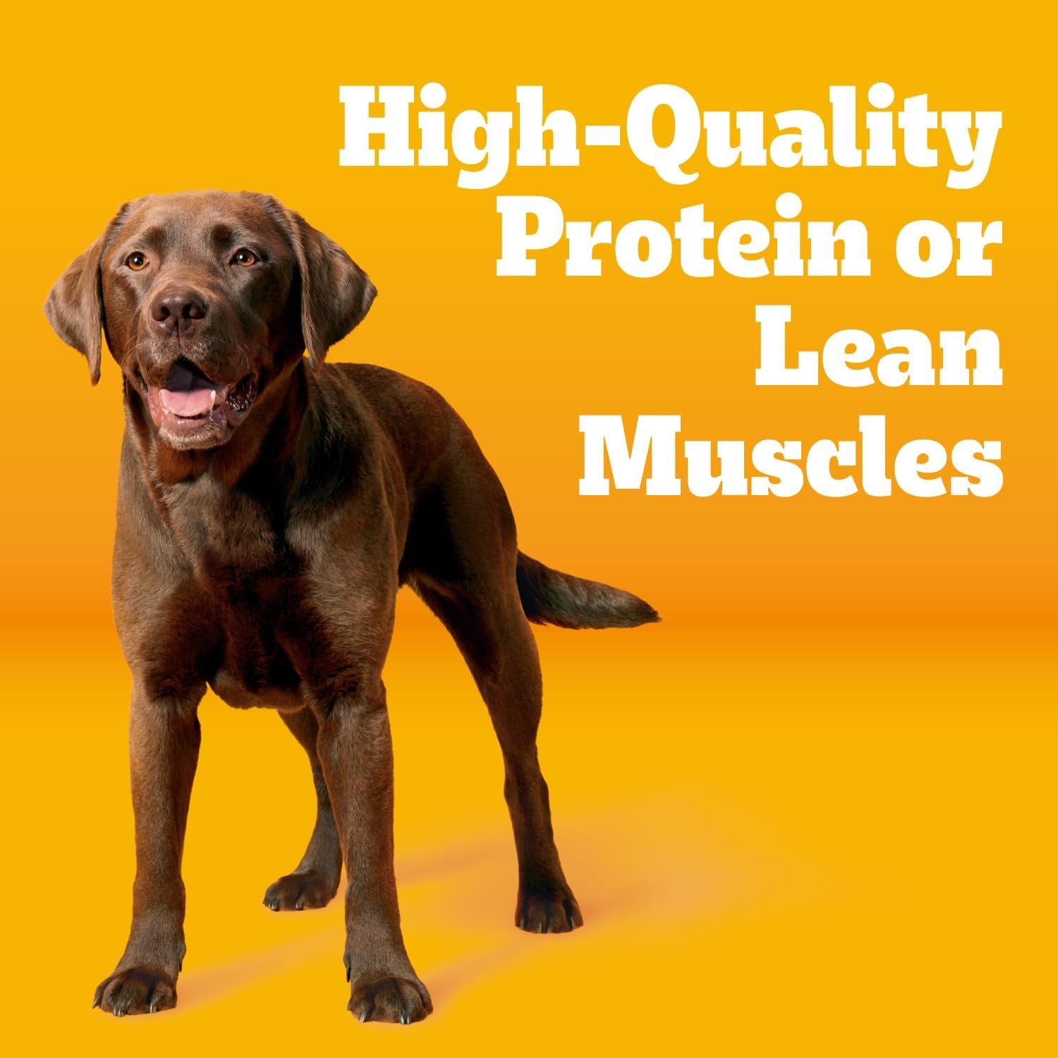 pedigree-tender-bites-dry-dog-food-chicken-steak-14-lb-easy-to-chew-two-textured-kibble-natural-fiber-for-healthy-digestion-36-vitamins-minerals-natural-flavors-only