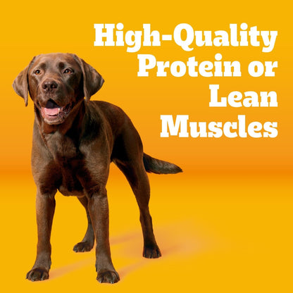 Pedigree Tender Bites Dry Dog Food, Chicken & Steak, 14 Lb | Easy-To-Chew Two-Textured Kibble, Natural Fiber for Healthy Digestion, 36 Vitamins & Minerals, Natural Flavors Only2