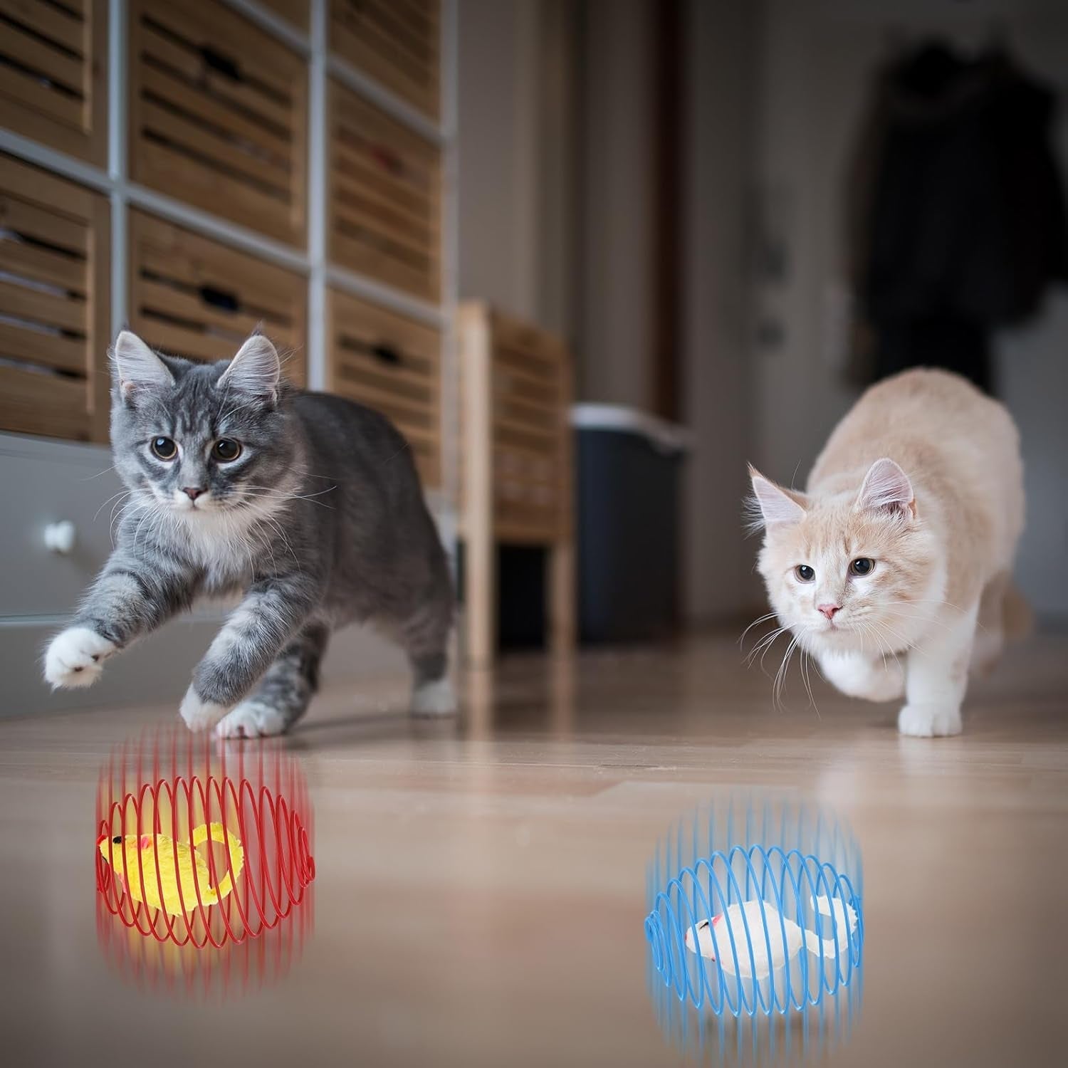jecery-5-pcs-cat-toys-spring-mouse-multicolor-interactive-cat-toy-stretchable-rolling-ball-for-indoor-cats-colorful-playful-coils-kitten-pet-supplies