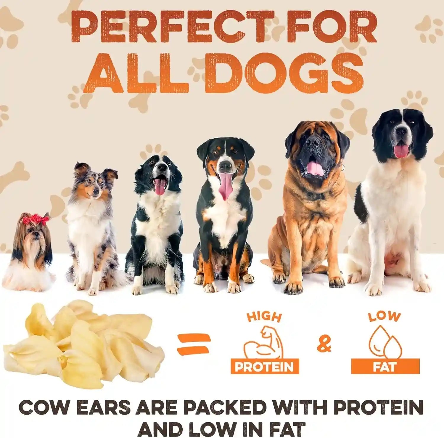 brutus-barnaby-cow-ears-for-dogs-whole-ears-12-ct-thick-cut-grass-fed-angus-beef-all-natural-no-rawhide-dog-treat-alternative