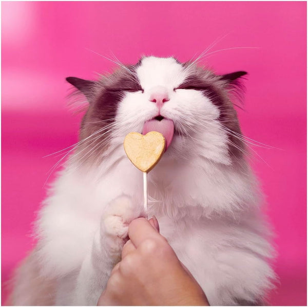 Bonkers Purr Pops Chicky Licks Freeze-Dried Cat Treats, 4-Count, 2 Packs with Cat Spring Toys4