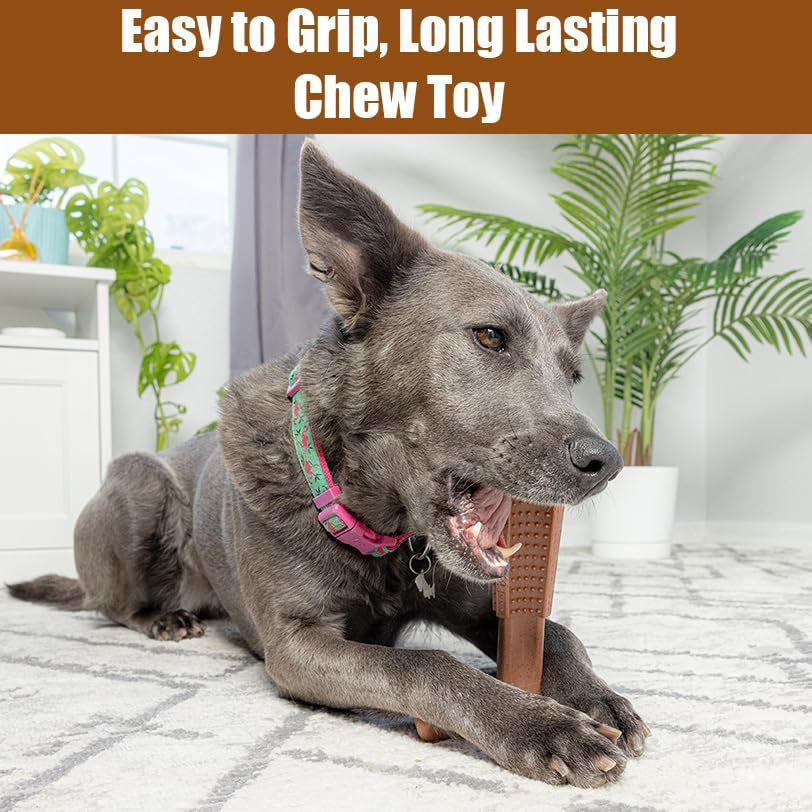 spot-bam-bones-plus-t-bone-bamboo-fiber-nylon-dog-chew-toy-for-moderate-to-aggressive-chewers-durable-long-lasting-non-splintering-beef-flavor-toy-for-adult-dogs-puppies-under-60-lbs-6-in