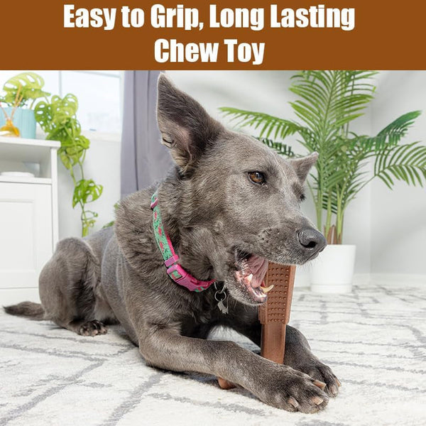 SPOT Bam-Bones plus T Bone – Bamboo Fiber & Nylon Dog Chew Toy for Moderate to Aggressive Chewers, Durable Long Lasting & Non-Splintering, Beef Flavor Toy for Adult Dogs & Puppies under 60 Lbs, 6 In7