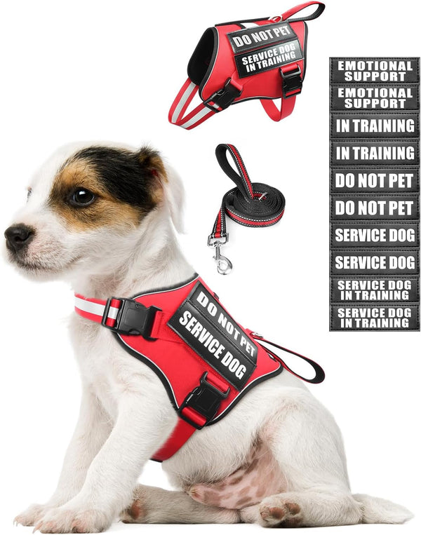 Service Dog Vest Harness and Leash Set+10 Patches,No Pull&Adjustable Reflective Dog Harness with Soft Padded Handle for Training/Everyday,Fit Small/Medium/Large/Extra-Large Dogs(Red XL) | No Pull&Adjustable Reflective Service Dog Harness Large Sized,Dog Leash with 2 Soft Padded Handles,For Training Working20