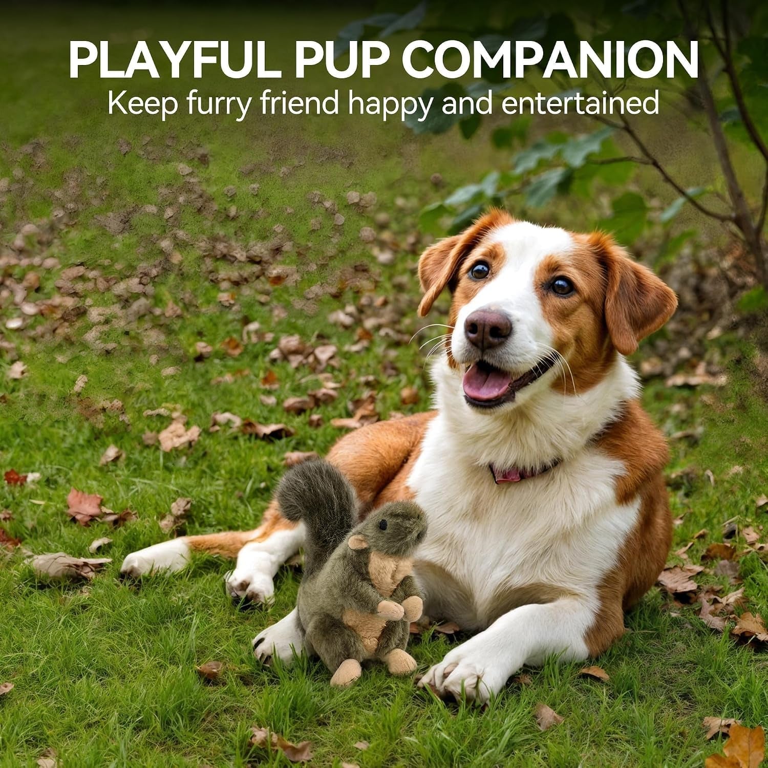 all-for-paws-classic-squirrel-pet-toys-small