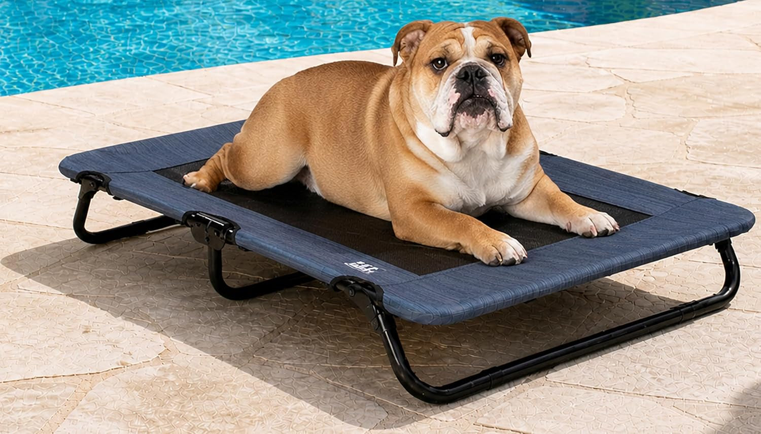 pet-gear-lifestyle-pet-cot-elevated-bed-30-inch-caribbean-ocean-no-assembly-required-premium-tear-resistant-cooling-mesh-indoor-outdoor-lightweight-portable