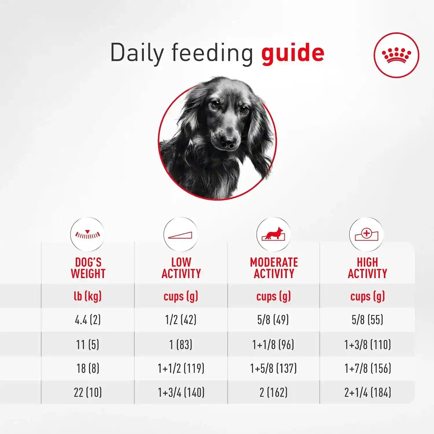 royal-canin-breed-health-nutrition-dachshund-adult-dry-dog-food-10-lb-bag-specialized-kibble-shape-supports-joint-and-bone-health-promotes-healthy-weight-complete-and-balanced-nutrition