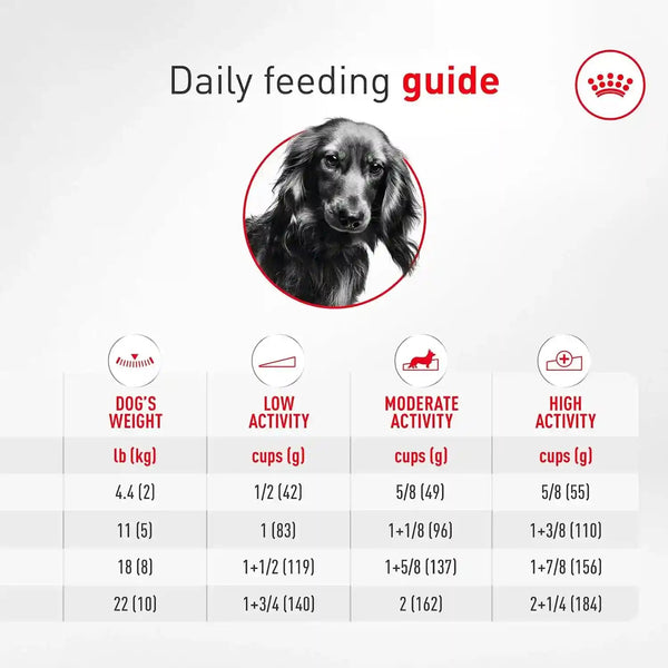 ROYAL CANIN Breed Health Nutrition Dachshund Adult Dry Dog Food, 10 Lb Bag. | Specialized Kibble Shape, Supports Joint and Bone Health, Promotes Healthy Weight, Complete and Balanced Nutrition10