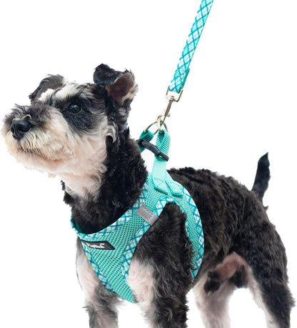 PUPTECK Dog Harness and Leash Set for Small Medium Dogs No Pull Step-In Soft Mesh Puppy Cat Vest Harnesses Reflective at Night, Green S1
