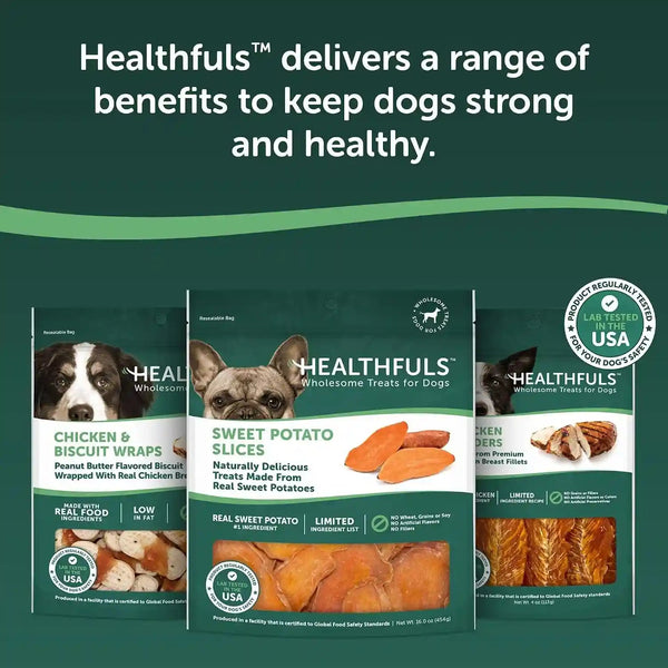 Healthfuls Sweet Potato Slices Healthy Dog Treats – Limited Ingredient, Grain Free, Made from Real Dried Sweet Potatoes, 16 Oz9