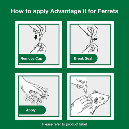 Advantage II Ferret Vet-Recommended Flea Treatment & Prevention | Ferret 1+ Lbs. | 2-Month Supply9