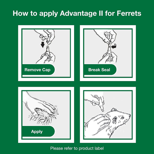 Advantage II Ferret Vet-Recommended Flea Treatment & Prevention | Ferret 1+ Lbs. | 2-Month Supply9
