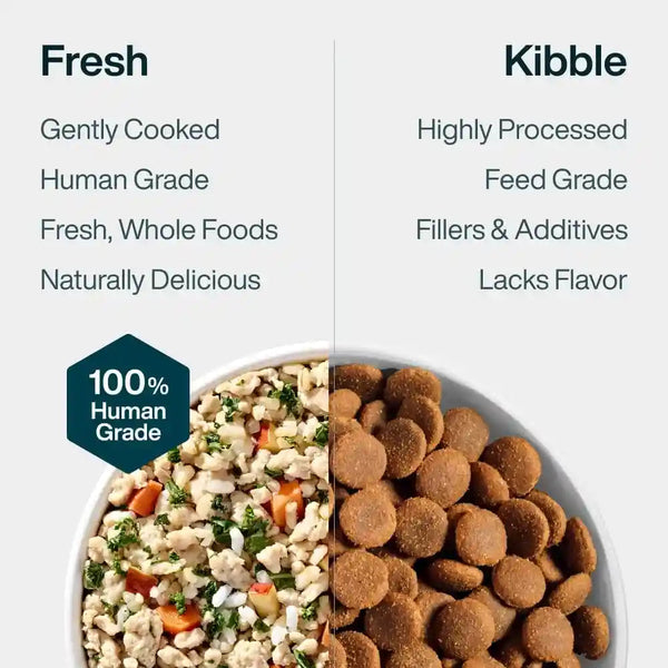 Justfoodfordogs Pantry Fresh Wet Dog Food, Complete Meal or Topper, Chicken & White Rice Human Grade Recipe - 12.5 Oz (Pack of 6)8