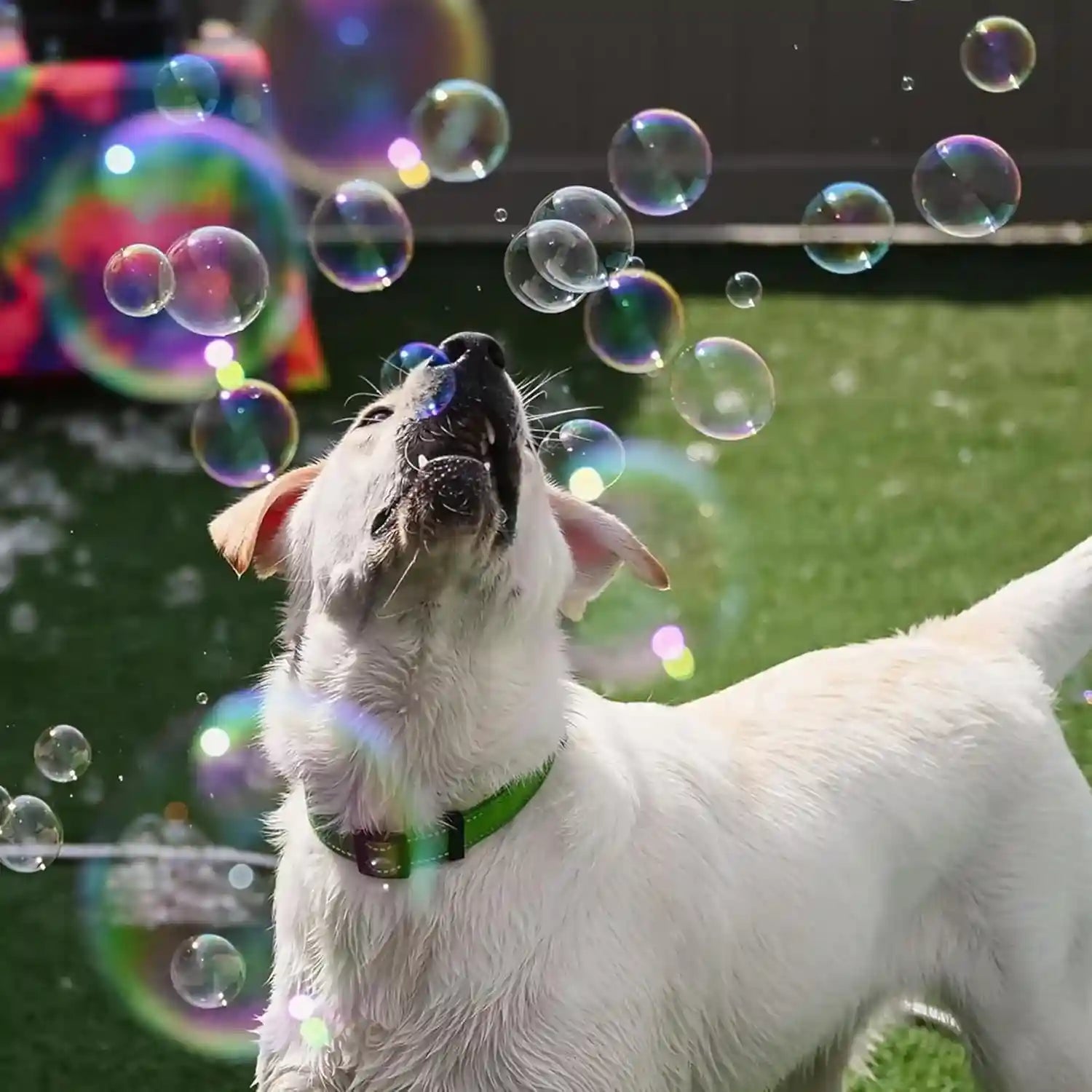 puppy-love-bubbles-peanut-butter-bacon-scented-bubbles-4oz-bottle-2-pack-combo-1-peanut-butter-1-bacon-for-dogs